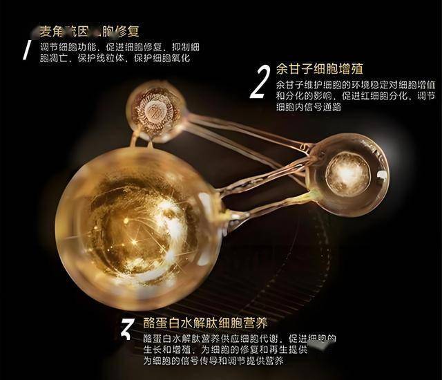 量化交易软件的秘密，95%的人都不知道！